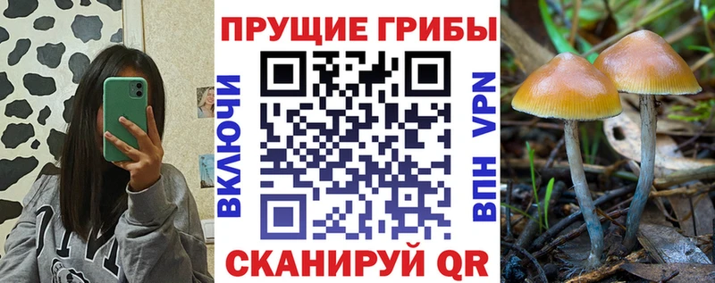 hydra ссылки  Тихорецк  дарк нет состав  Псилоцибиновые грибы мухоморы 