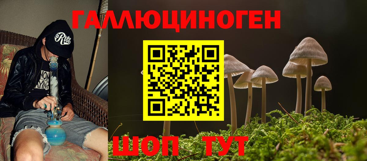 Псилоцибиновые грибы мицелий  Галлюциногенные грибы GOLDEN TEACHER  где найти   Вход с VPN  Тихорецк 